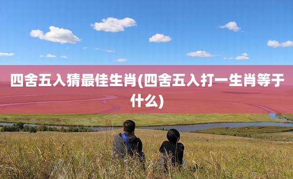 四舍五入猜最佳生肖(四舍五入打一生肖等于什么)