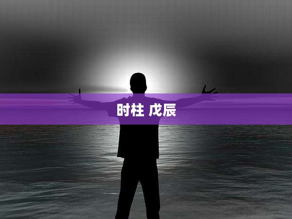 时柱 戊辰