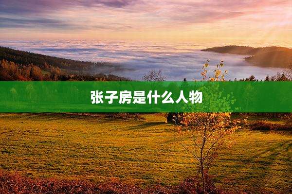 张子房是什么人物