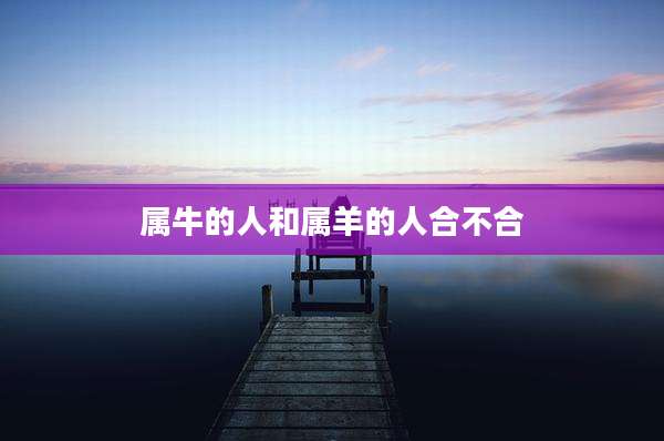 属牛的人和属羊的人合不合