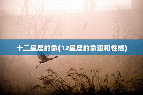 十二星座的命(12星座的命运和性格)