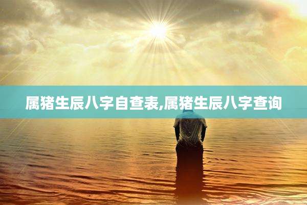 属猪生辰八字自查表,属猪生辰八字查询