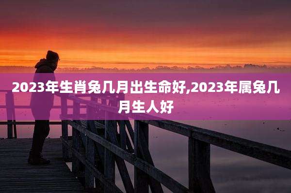 2023年生肖兔几月出生命好,2023年属兔几月生人好