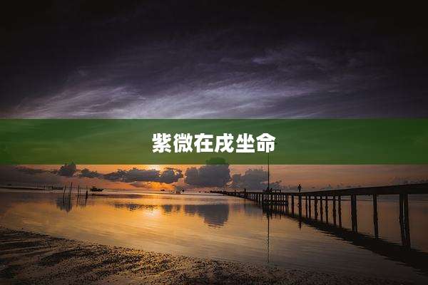 紫微在戌坐命