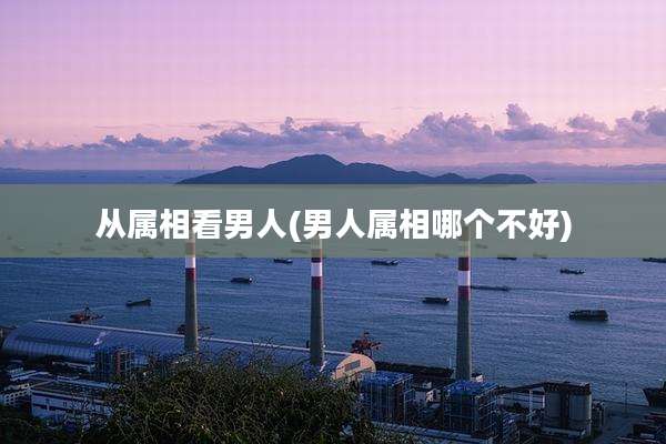从属相看男人(男人属相哪个不好)