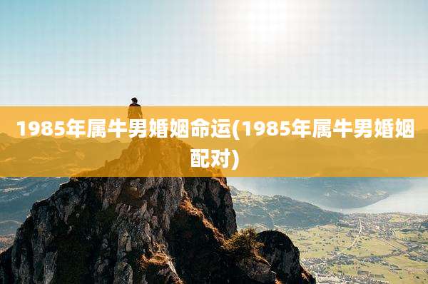 1985年属牛男婚姻命运(1985年属牛男婚姻配对)