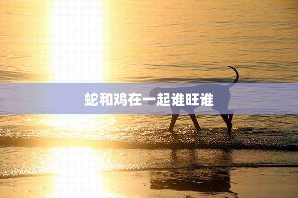 蛇和鸡在一起谁旺谁