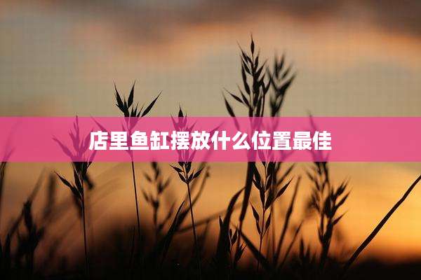 店里鱼缸摆放什么位置最佳