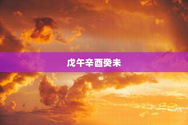 戊午辛酉癸未