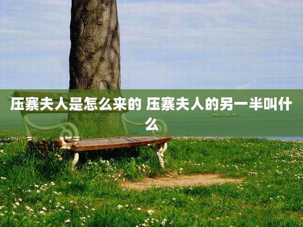 压寨夫人是怎么来的 压寨夫人的另一半叫什么