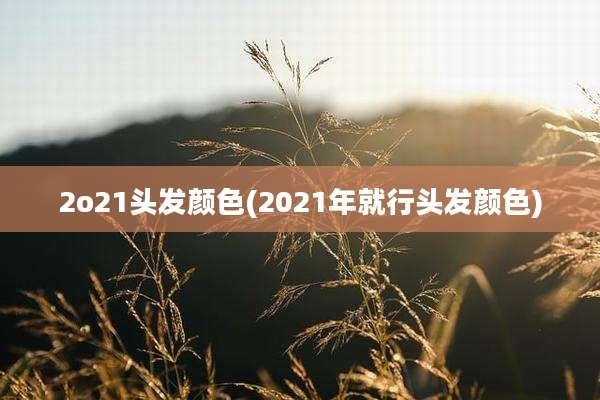 2o21头发颜色(2021年就行头发颜色)
