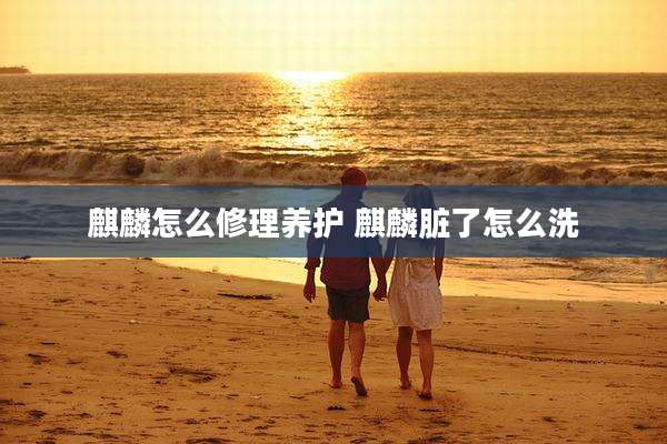 麒麟怎么修理养护 麒麟脏了怎么洗