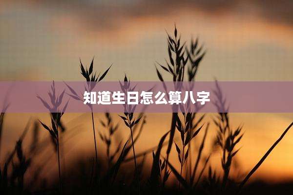 知道生日怎么算八字
