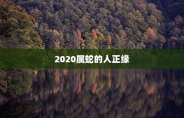 2020属蛇的人正缘