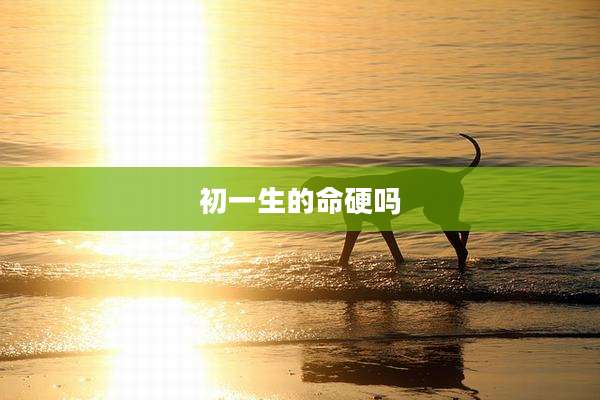 初一生的命硬吗