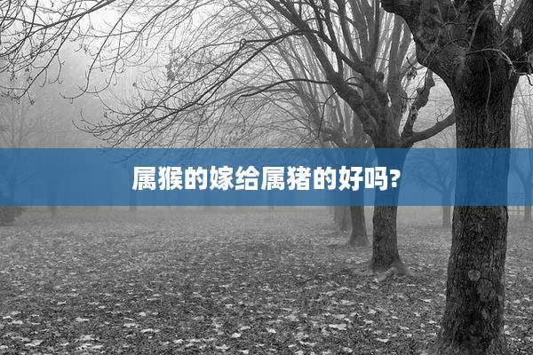 属猴的嫁给属猪的好吗?