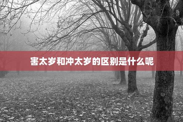 害太岁和冲太岁的区别是什么呢