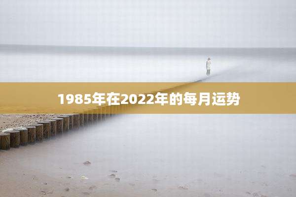 1985年在2022年的每月运势