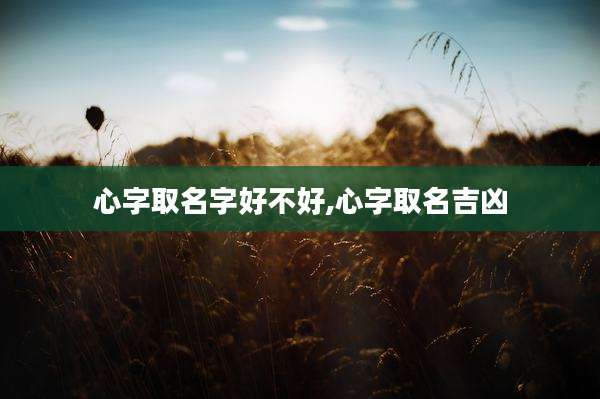 心字取名字好不好,心字取名吉凶