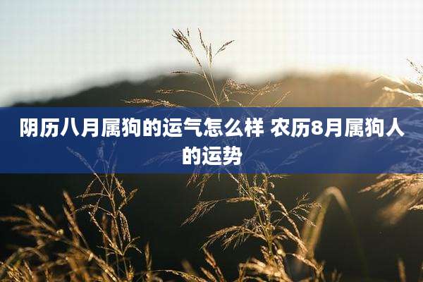 阴历八月属狗的运气怎么样 农历8月属狗人的运势