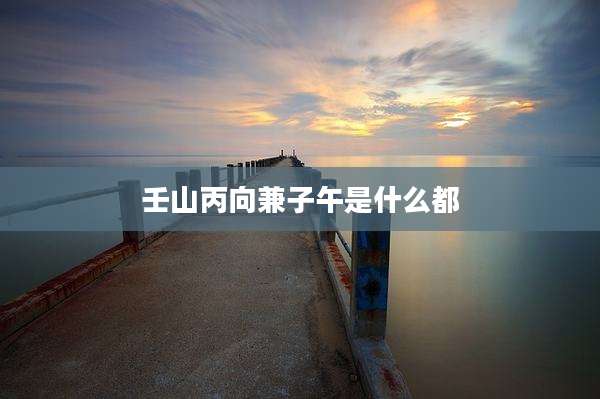 壬山丙向兼子午是什么都