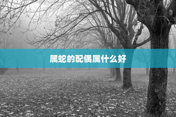 属蛇的配偶属什么好