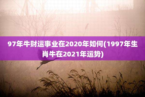 97年牛财运事业在2020年如何(1997年生肖牛在2021年运势)