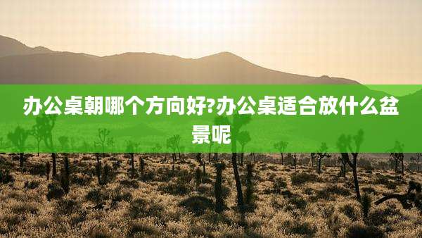 办公桌朝哪个方向好?办公桌适合放什么盆景呢