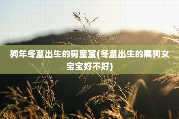 狗年冬至出生的男宝宝(冬至出生的属狗女宝宝好不好)