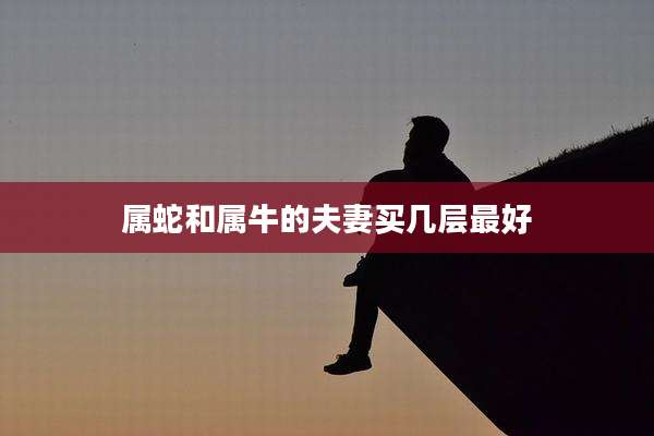 属蛇和属牛的夫妻买几层最好