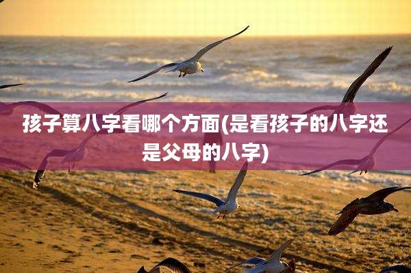 孩子算八字看哪个方面(是看孩子的八字还是父母的八字)