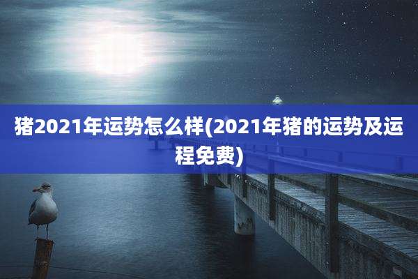 猪2021年运势怎么样(2021年猪的运势及运程免费)