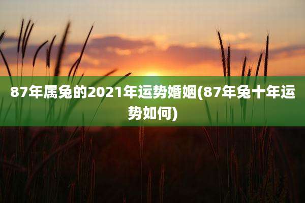 87年属兔的2021年运势婚姻(87年兔十年运势如何)