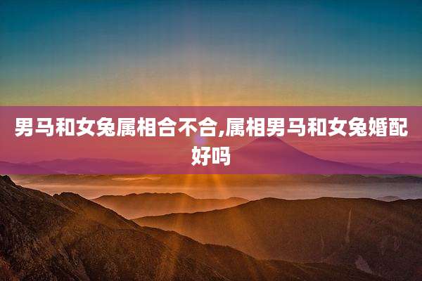 男马和女兔属相合不合,属相男马和女兔婚配好吗