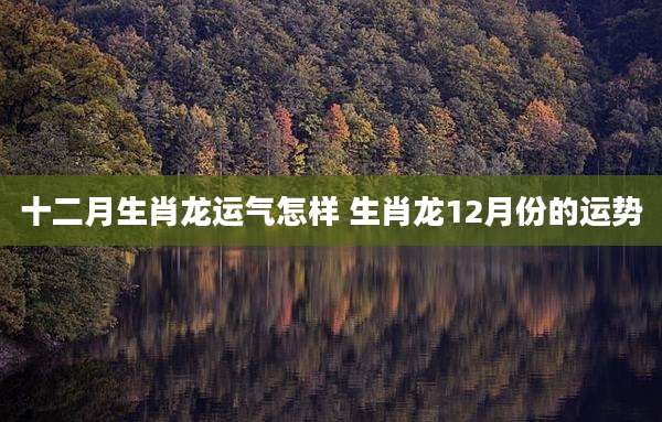 十二月生肖龙运气怎样 生肖龙12月份的运势