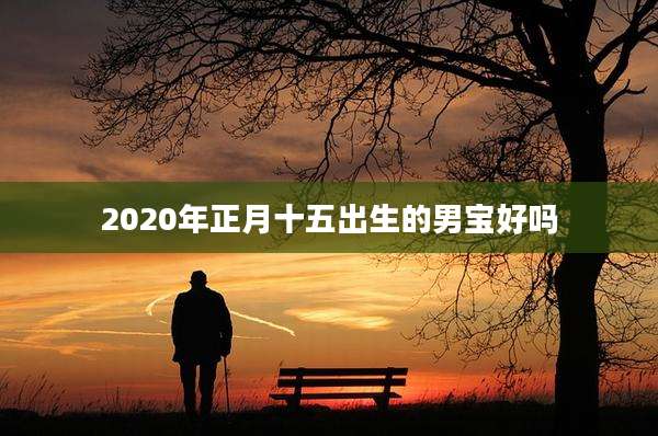 2020年正月十五出生的男宝好吗