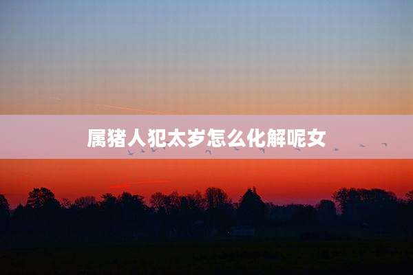 属猪人犯太岁怎么化解呢女