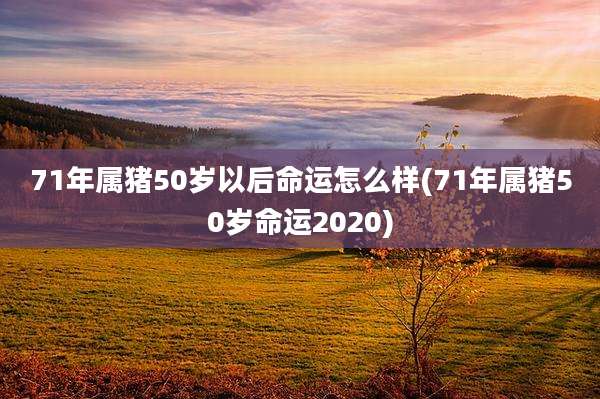 71年属猪50岁以后命运怎么样(71年属猪50岁命运2020)
