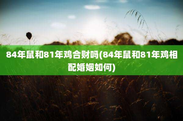 84年鼠和81年鸡合财吗(84年鼠和81年鸡相配婚姻如何)