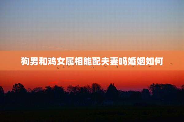 狗男和鸡女属相能配夫妻吗婚姻如何
