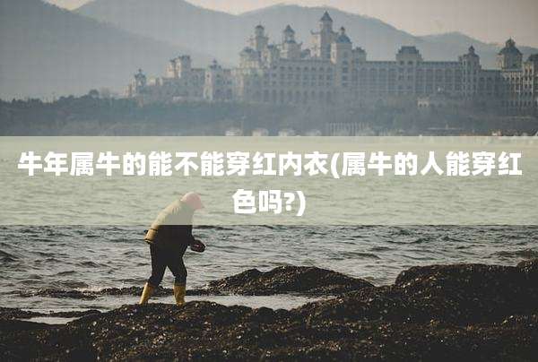 牛年属牛的能不能穿红内衣(属牛的人能穿红色吗?)
