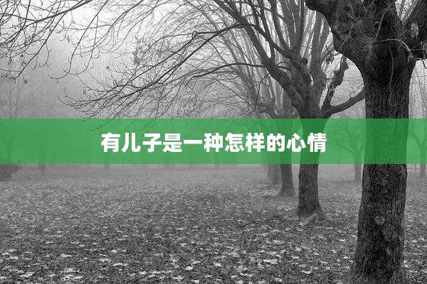 有儿子是一种怎样的心情