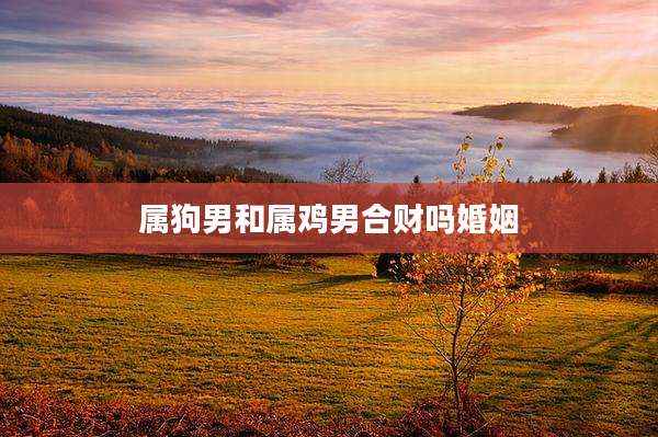 属狗男和属鸡男合财吗婚姻
