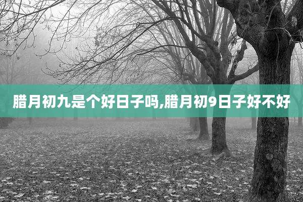 腊月初九是个好日子吗,腊月初9日子好不好