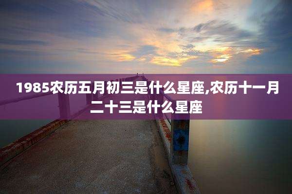 1985农历五月初三是什么星座,农历十一月二十三是什么星座