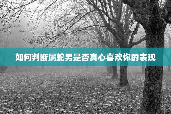 如何判断属蛇男是否真心喜欢你的表现