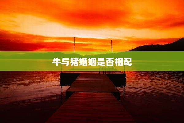 牛与猪婚姻是否相配