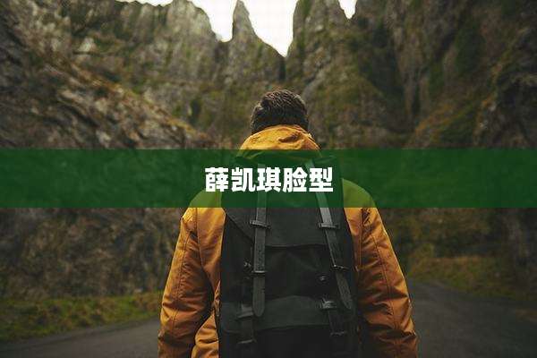 薛凯琪脸型
