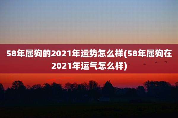 58年属狗的2021年运势怎么样(58年属狗在2021年运气怎么样)