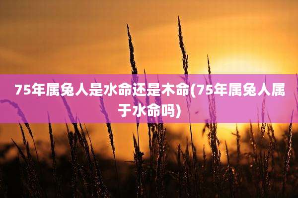 75年属兔人是水命还是木命(75年属兔人属于水命吗)